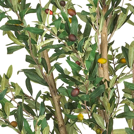 5ft. Potted Olive Tree